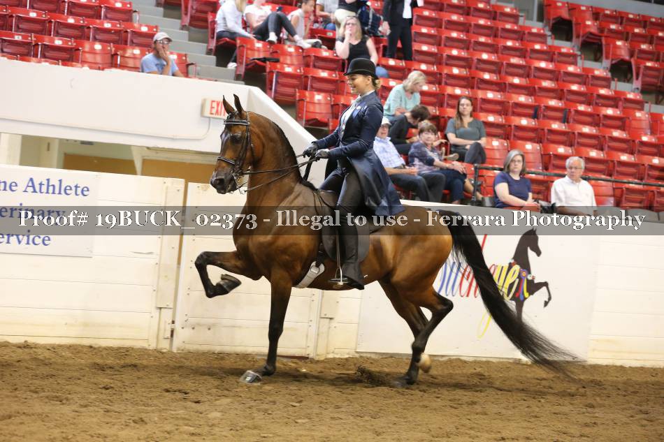 Proof 19BUCK_02373