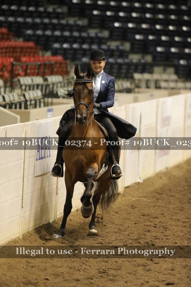 Proof 19BUCK_02374