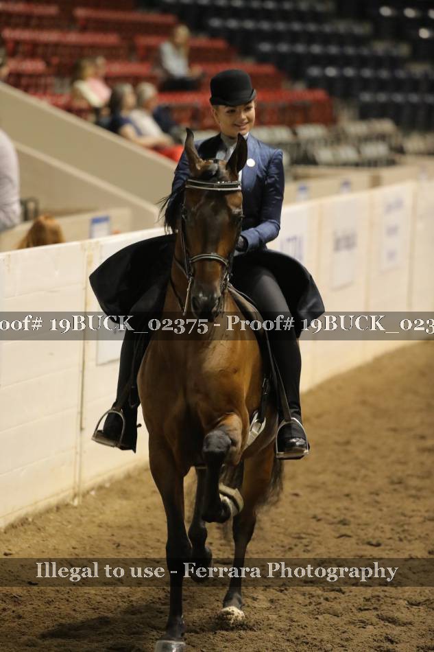 Proof 19BUCK_02375
