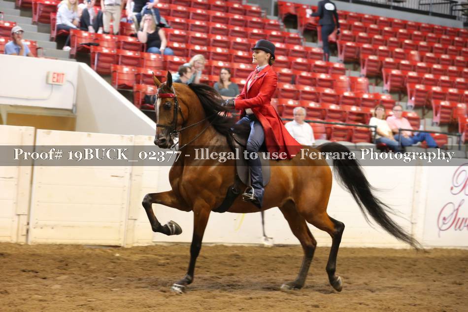 Proof 19BUCK_02377