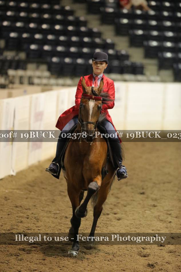 Proof 19BUCK_02378