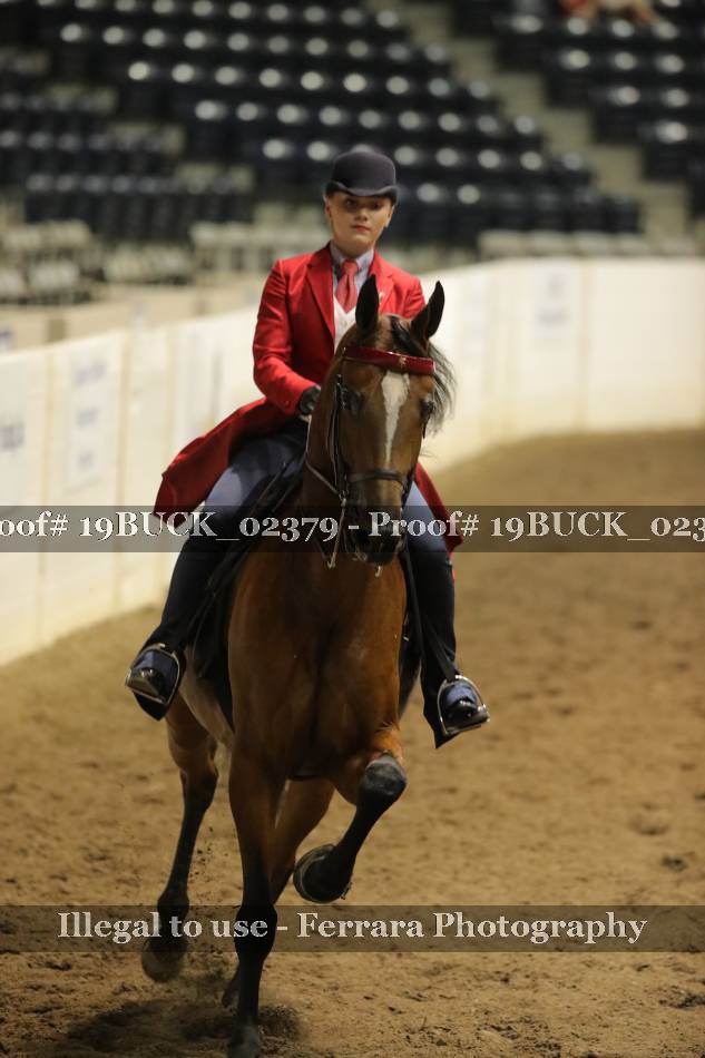 Proof 19BUCK_02379