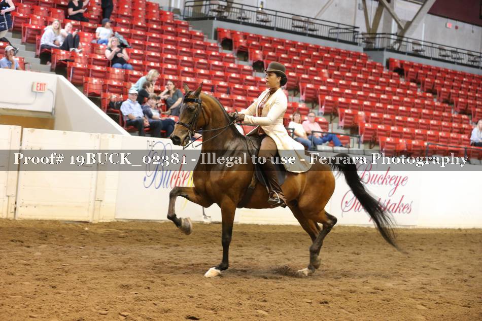 Proof 19BUCK_02381