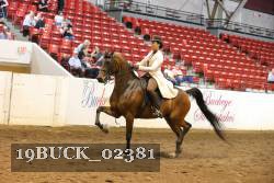 19BUCK_02381 proof