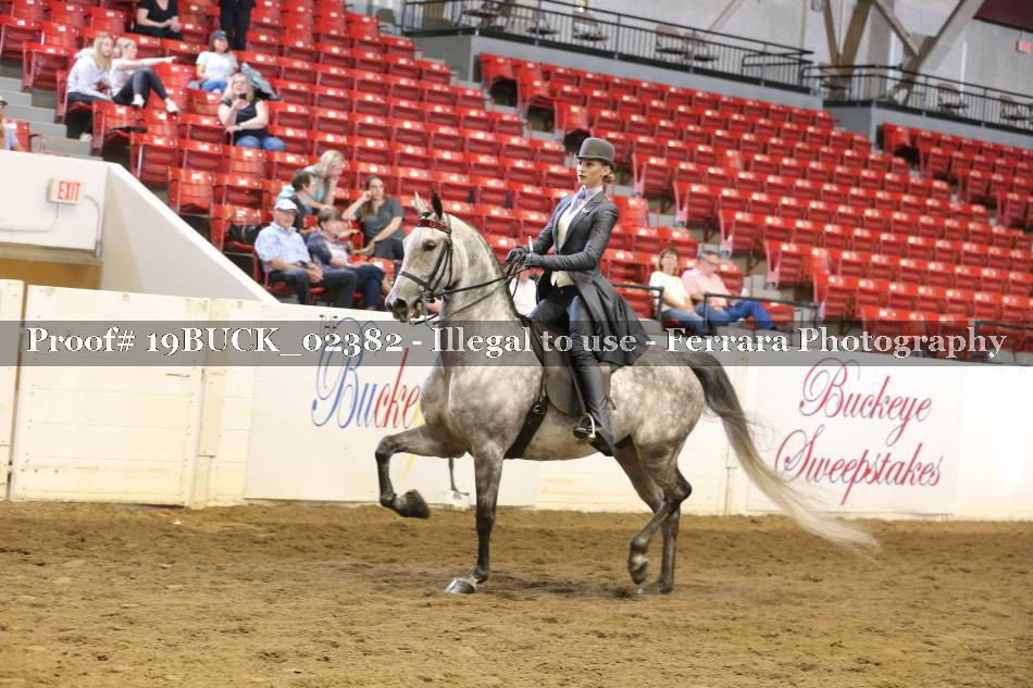 Proof 19BUCK_02382