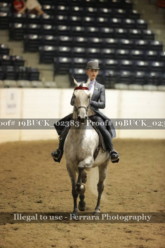 Proof 19BUCK_02383