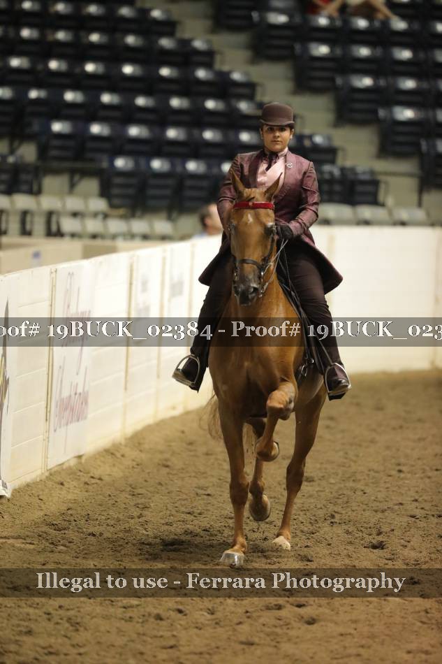 Proof 19BUCK_02384