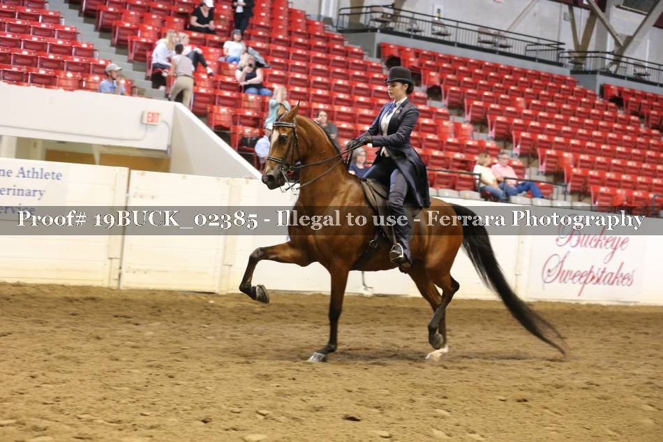 Proof 19BUCK_02385