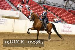 19BUCK_02385 proof