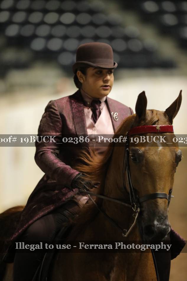 Proof 19BUCK_02386