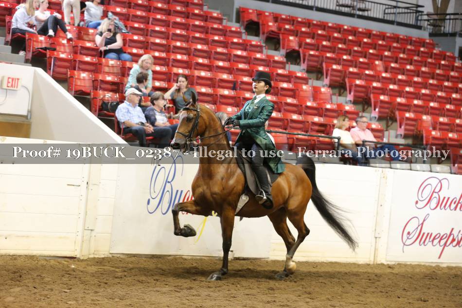 Proof 19BUCK_02387