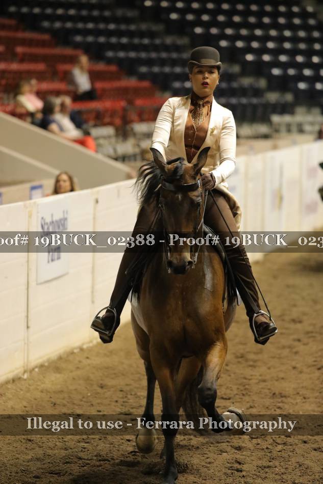Proof 19BUCK_02388