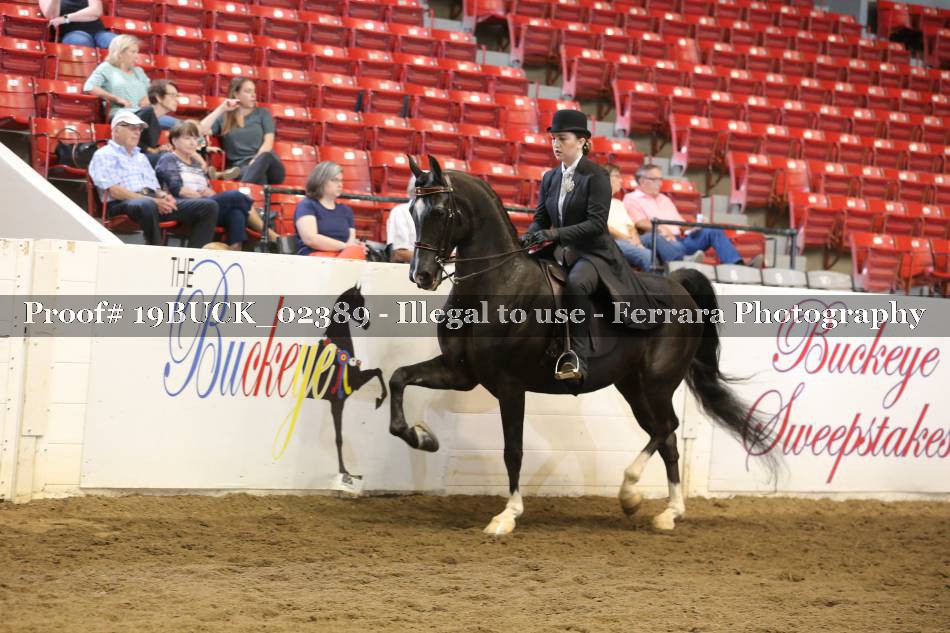 Proof 19BUCK_02389