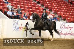 19BUCK_02389 proof