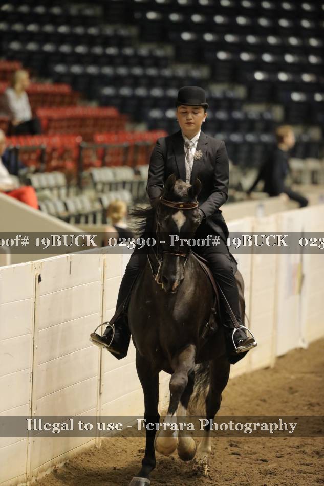 Proof 19BUCK_02390