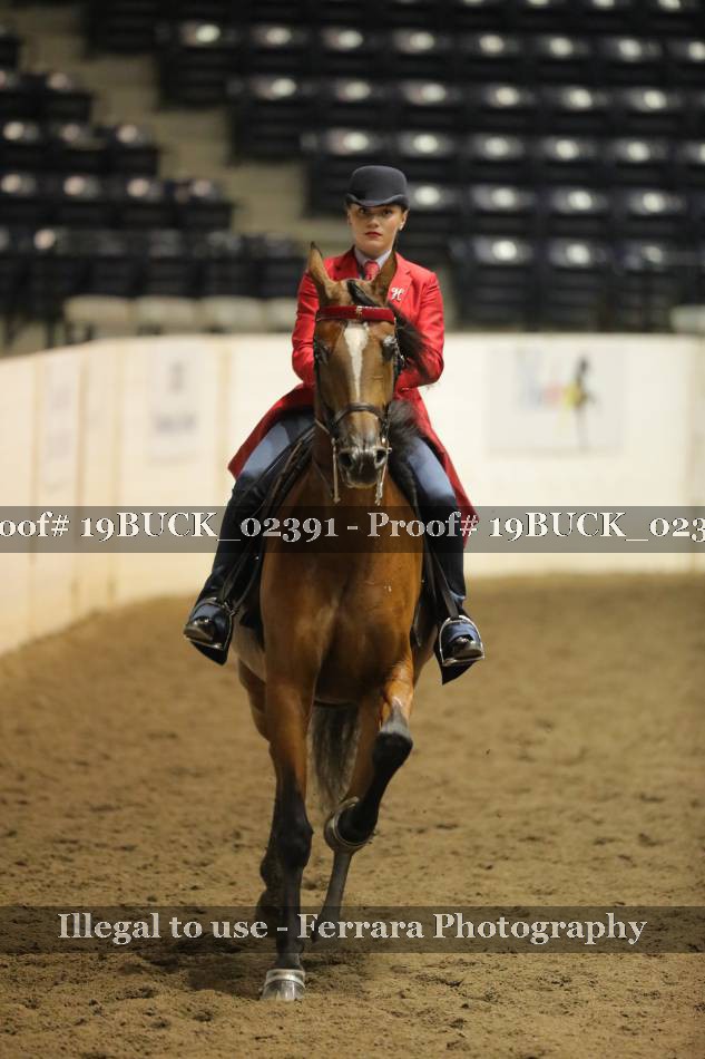 Proof 19BUCK_02391