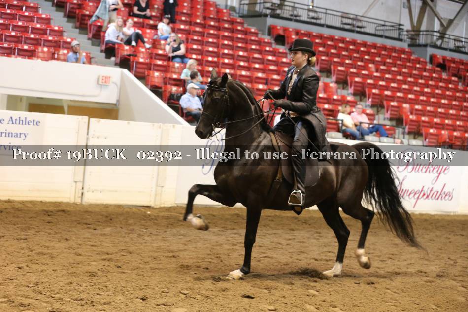 Proof 19BUCK_02392