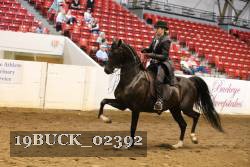 19BUCK_02392 proof