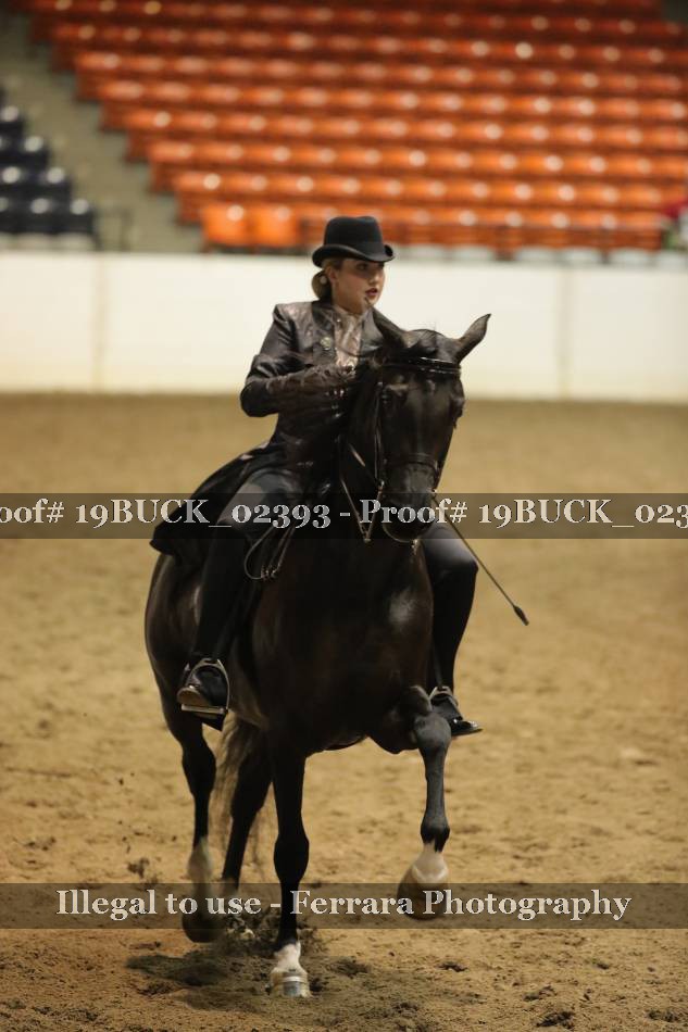 Proof 19BUCK_02393