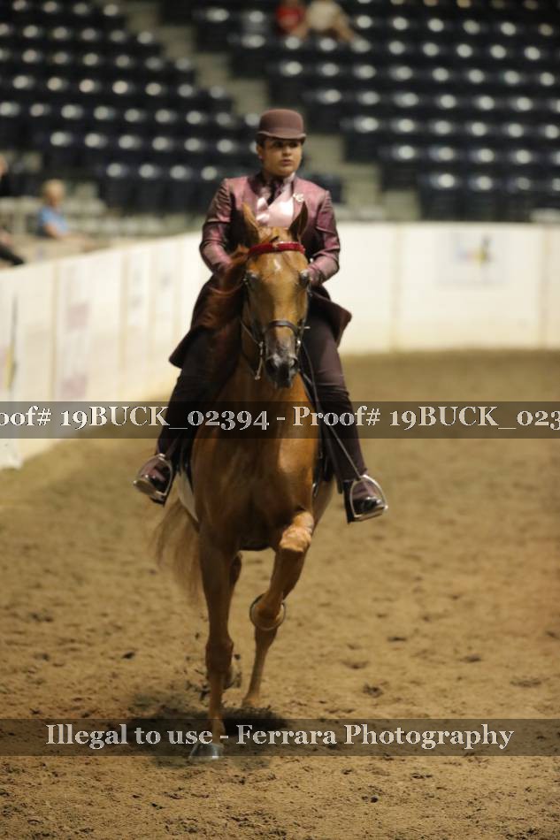 Proof 19BUCK_02394
