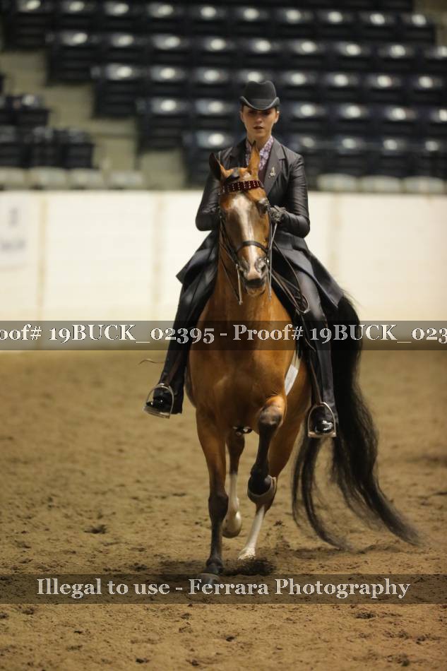 Proof 19BUCK_02395