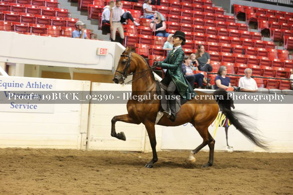 Proof 19BUCK_02396