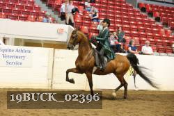 19BUCK_02396 proof