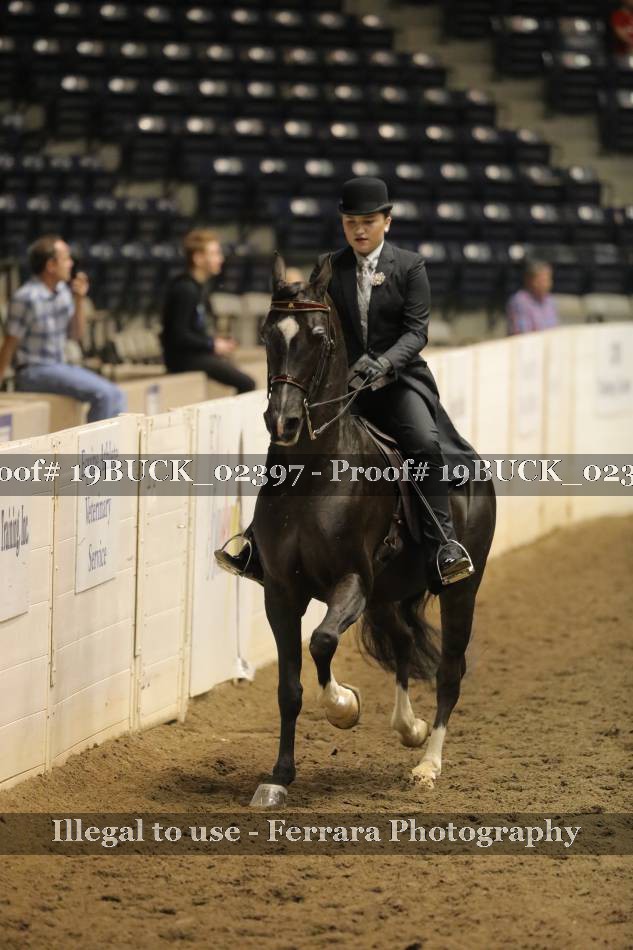 Proof 19BUCK_02397