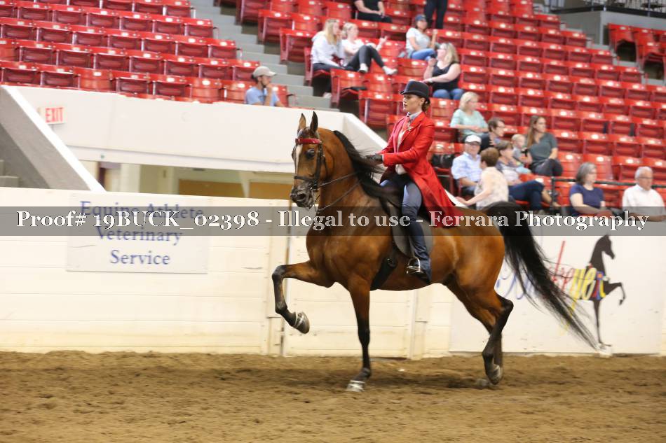 Proof 19BUCK_02398