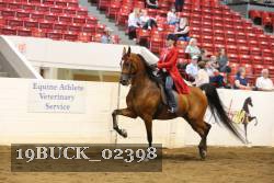 19BUCK_02398 proof