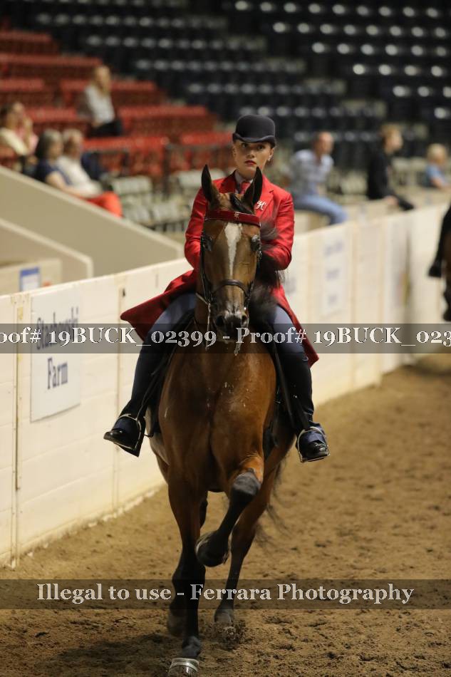 Proof 19BUCK_02399