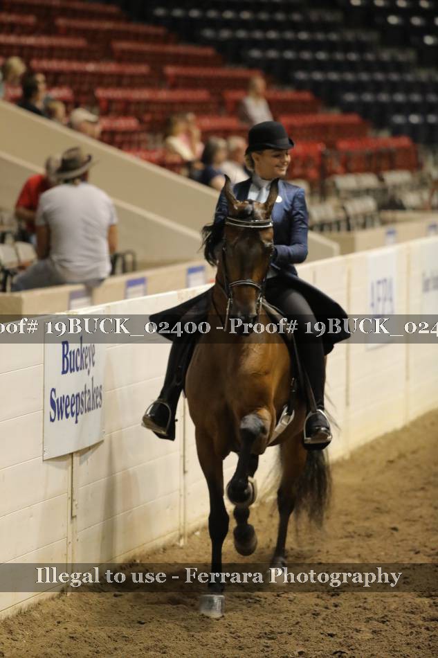 Proof 19BUCK_02400