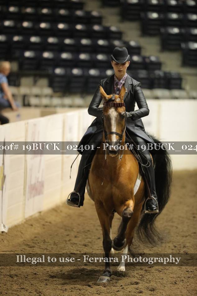 Proof 19BUCK_02401