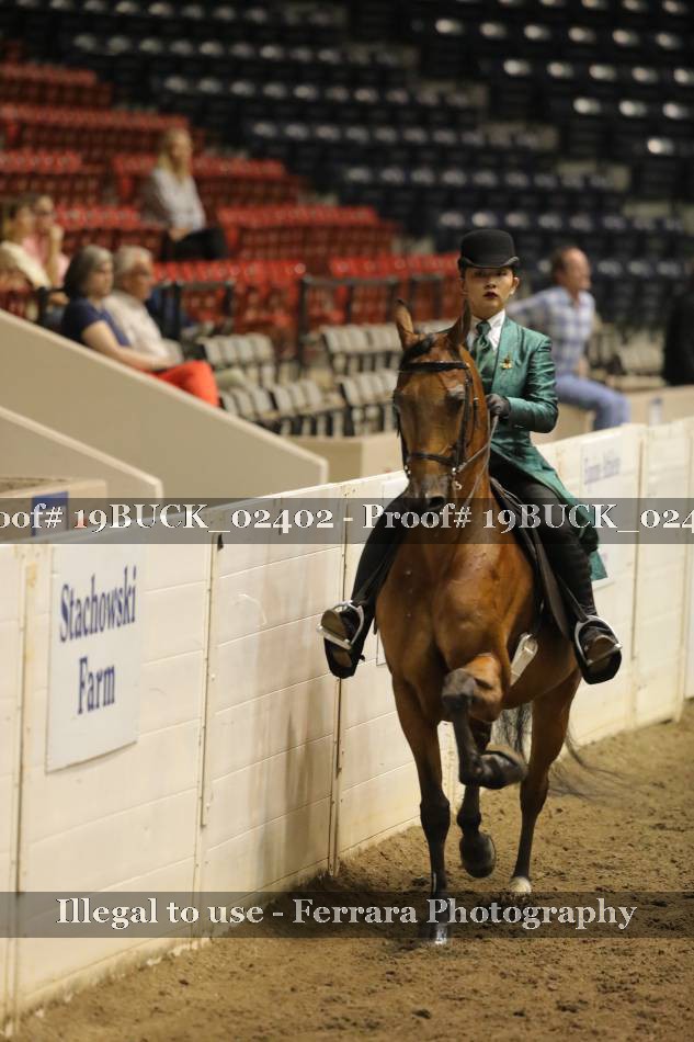Proof 19BUCK_02402