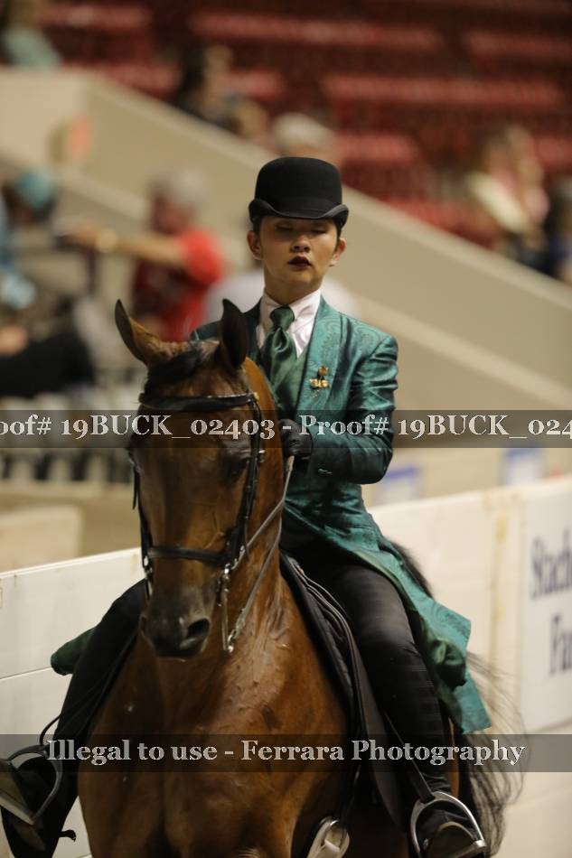 Proof 19BUCK_02403