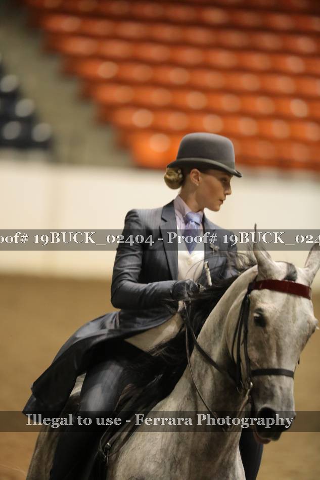 Proof 19BUCK_02404