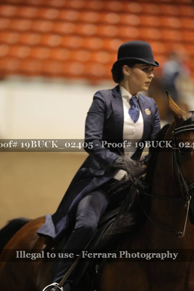 Proof 19BUCK_02405