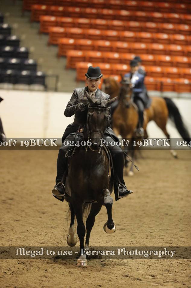 Proof 19BUCK_02406