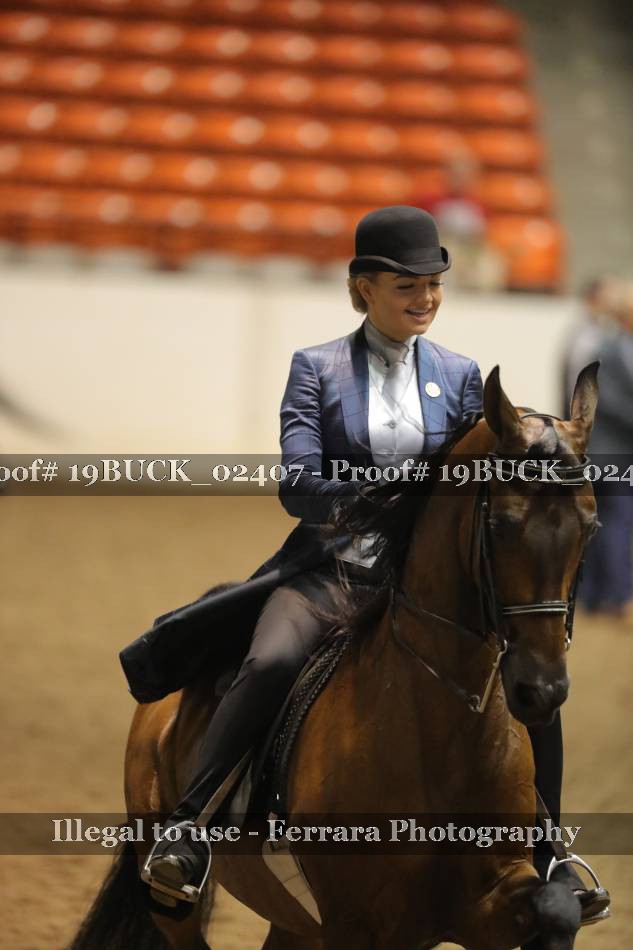 Proof 19BUCK_02407