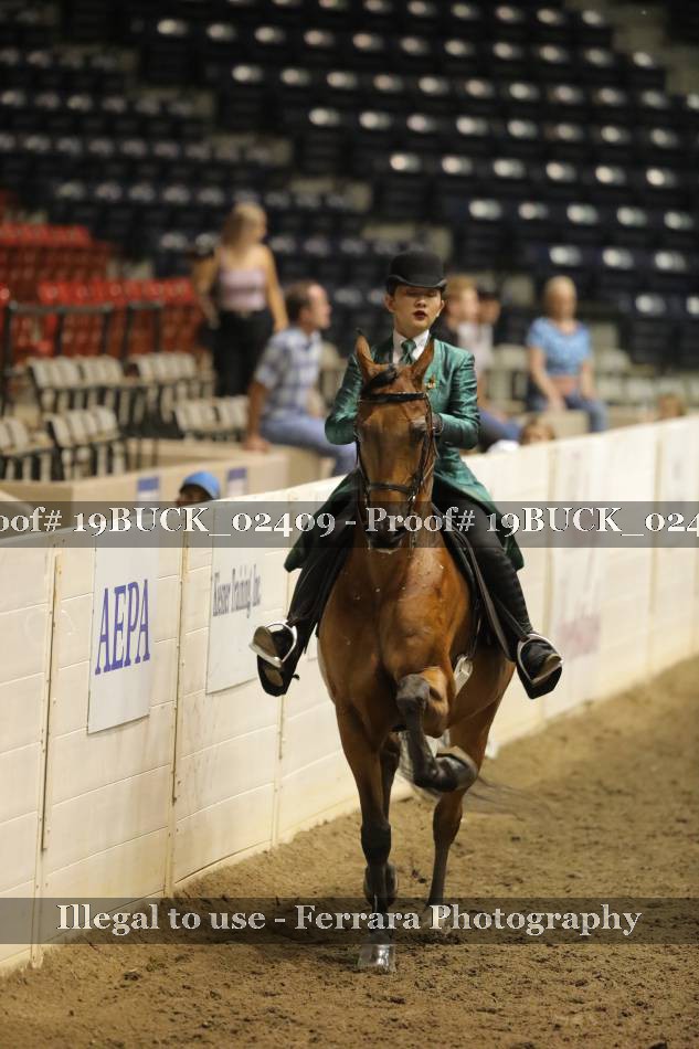 Proof 19BUCK_02409