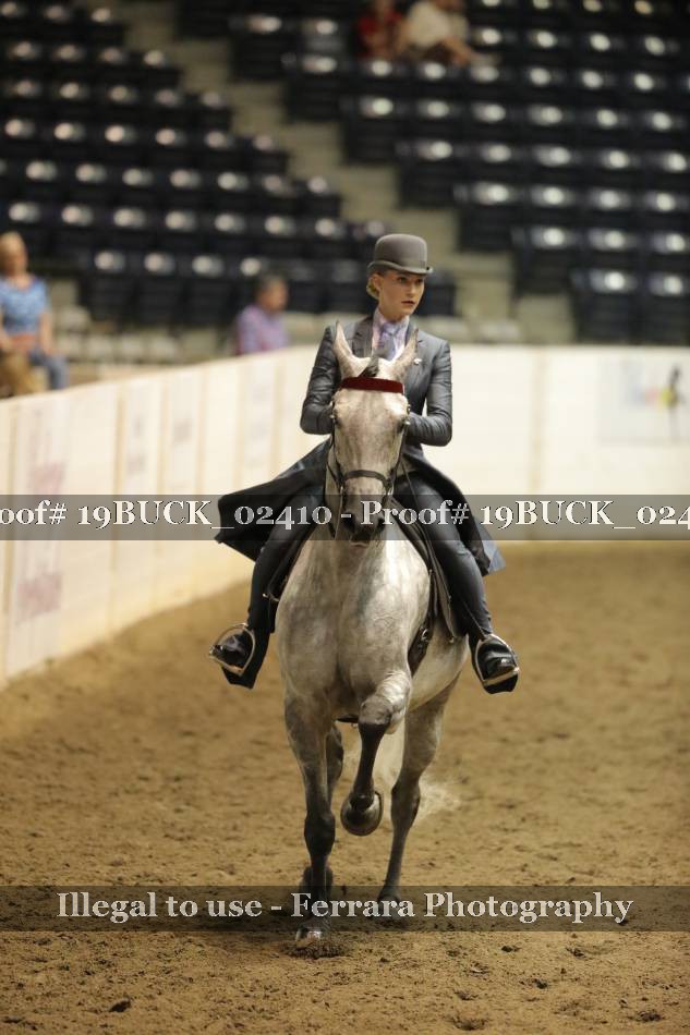 Proof 19BUCK_02410