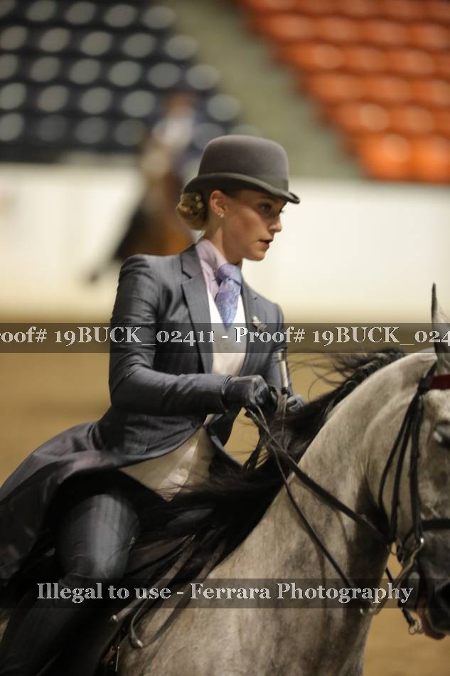 Proof 19BUCK_02411