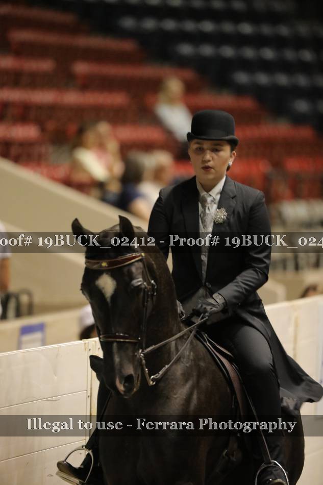 Proof 19BUCK_02412