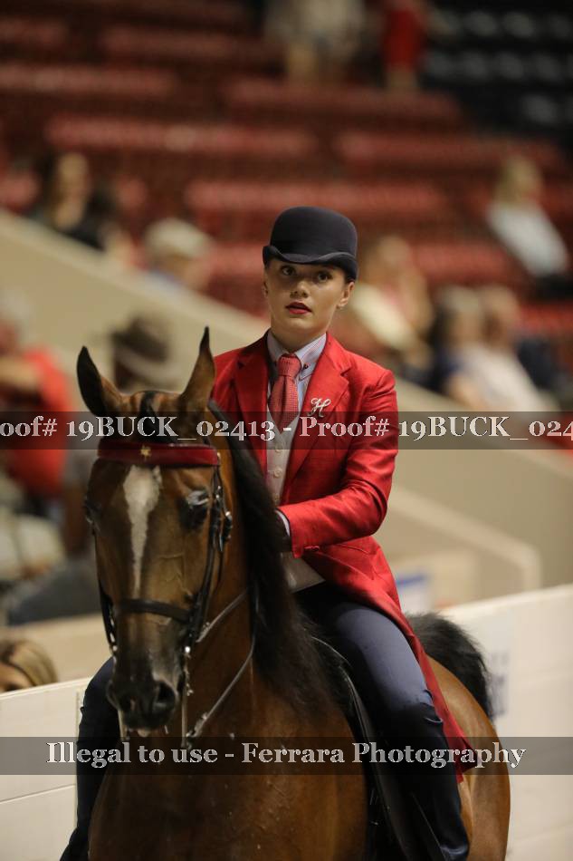 Proof 19BUCK_02413