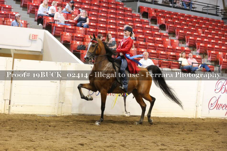 Proof 19BUCK_02414