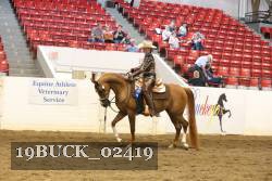 19BUCK_02419 proof