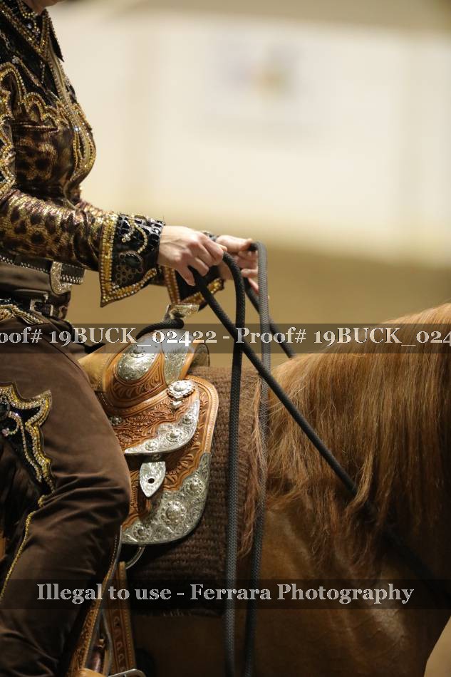 Proof 19BUCK_02422