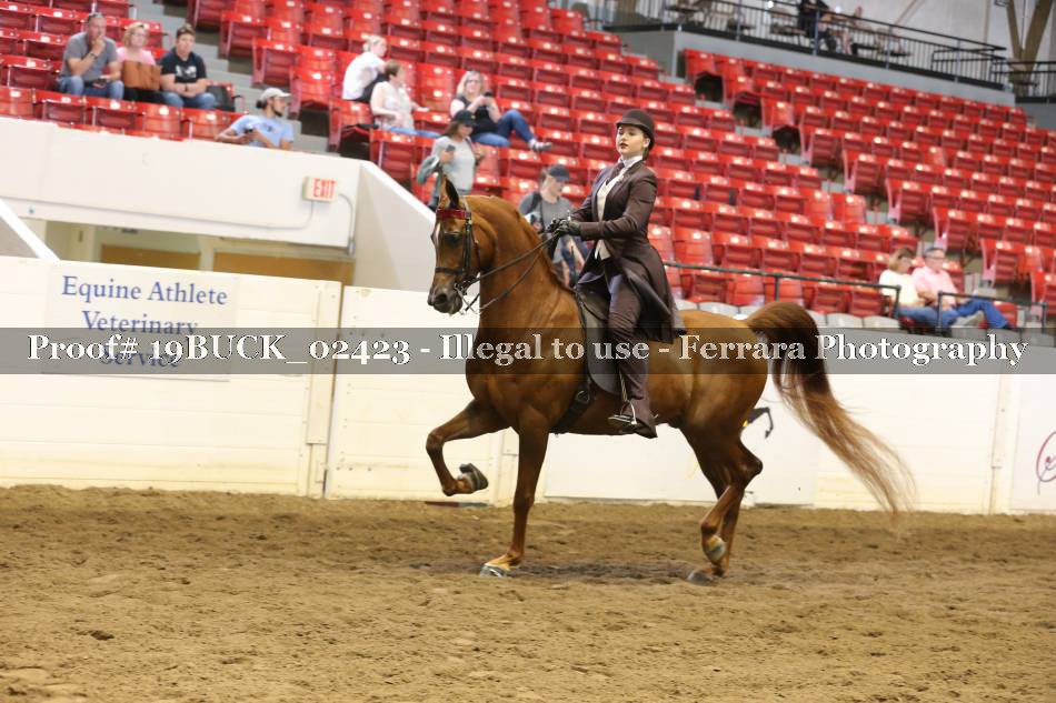 Proof 19BUCK_02423