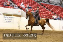 19BUCK_02423 proof