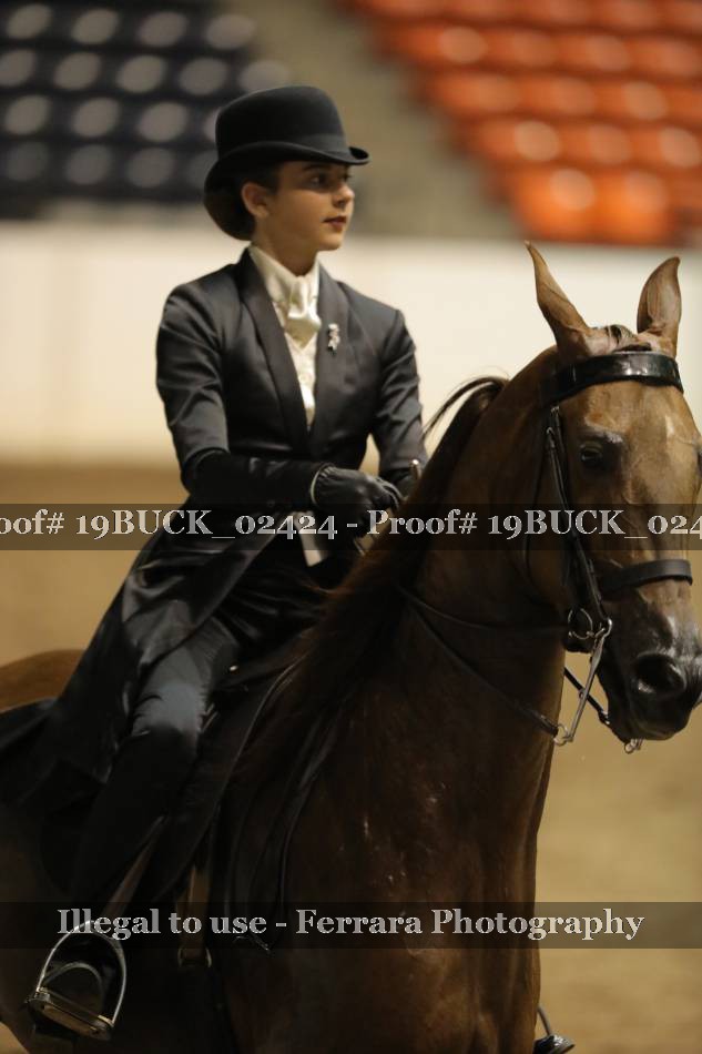 Proof 19BUCK_02424